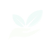Logo Icon